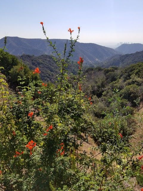 Beverly Glen Park