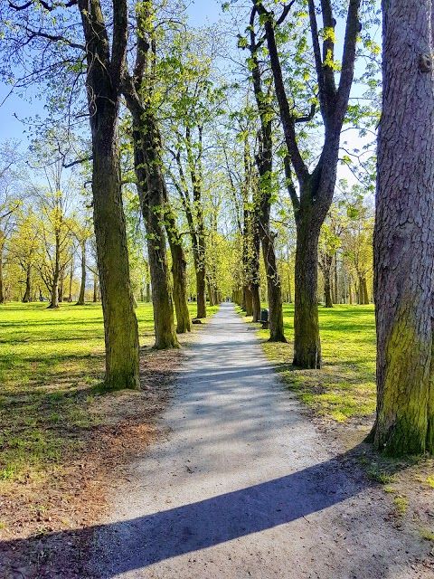 Park Skowroni