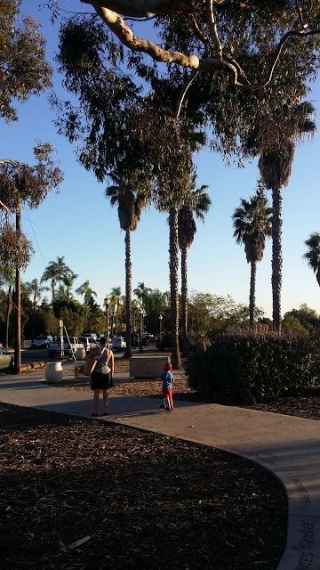 Bird Park