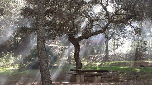 Parque Los Villares