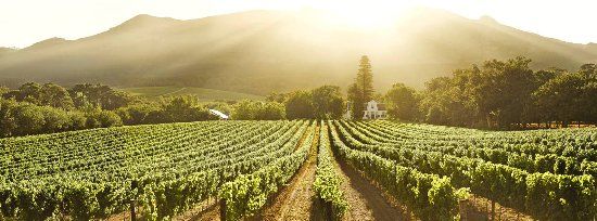 Buitenverwachting Restaurant