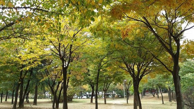 Bupyeong Park