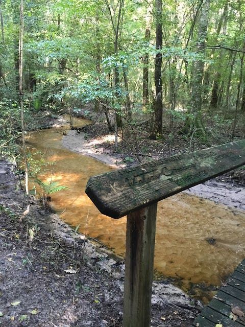 San Felasco State Hammock Preserve Hiking Trailhead