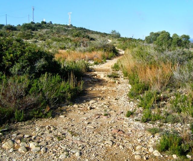Poblado Ibérico de la Moleta del Remei