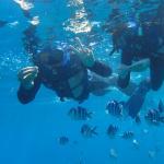 Yun Jing Japanese Restaurant