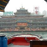 Little Sheep Hot Pot