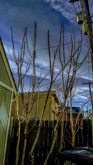 Ashland Recreation Center