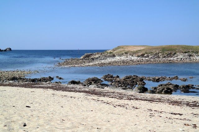 Portivy