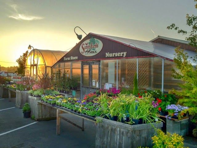 Sunny Farms Country Store