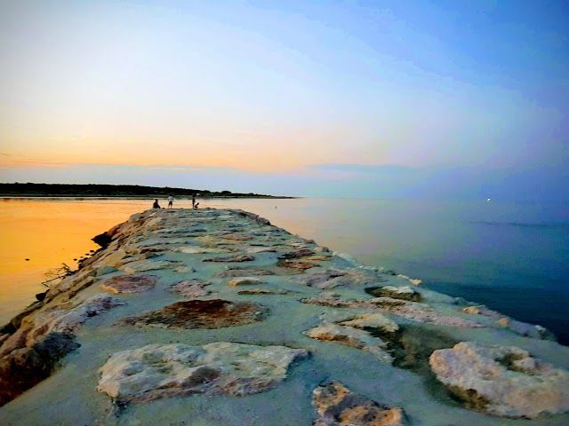 Parco Regionale Veneto del Delta del Po