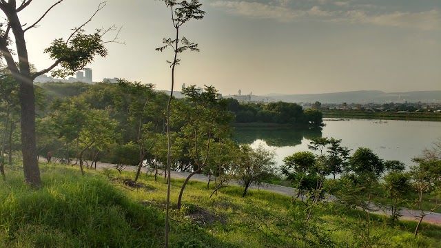 Parque Queretaro 2000