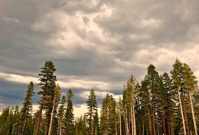Mammoth Lakes Branch Library