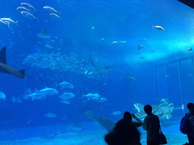 Okinawa Memorial Park Ocean Expo Park