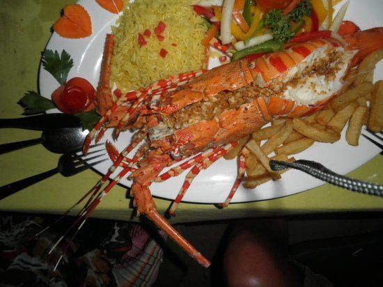 The Bongo Beach Shack