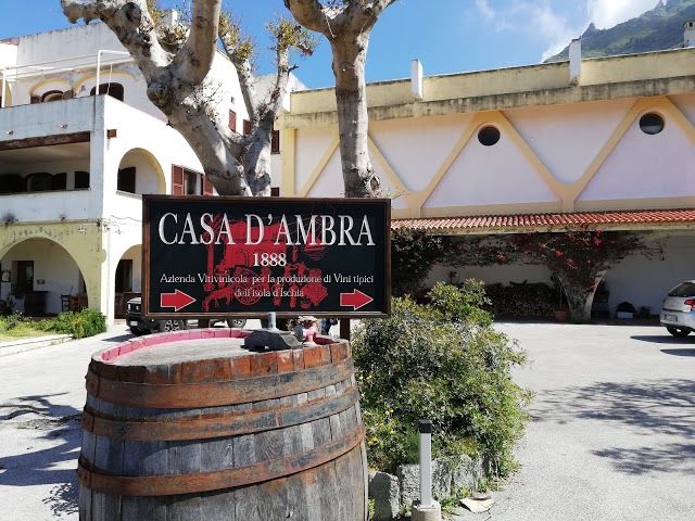 D'Ambra Vini D'Ischia Srl