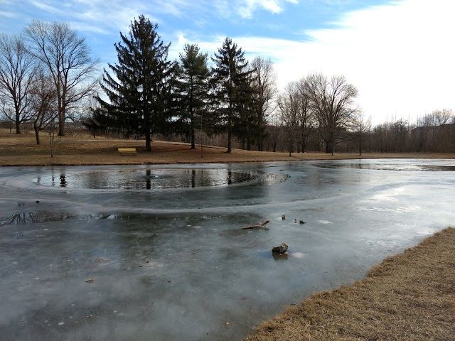 Purcell Park