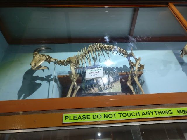 Natural History Museum