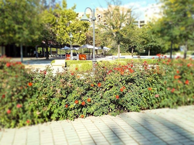 Almunia de Aynadamar Park