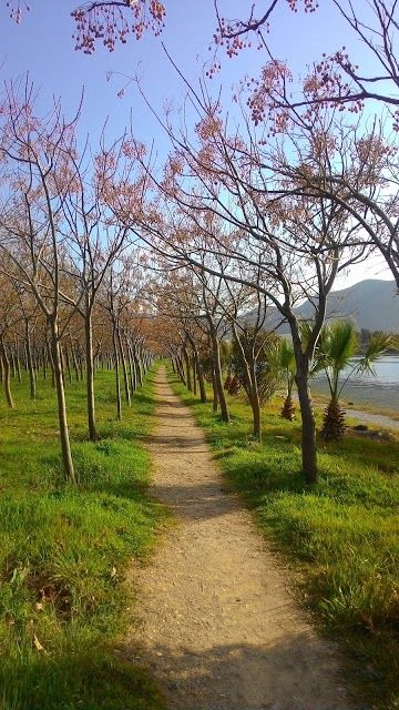 Inciralti Kent Ormani