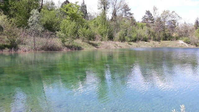Riserva Naturale Vincheto di Celarda