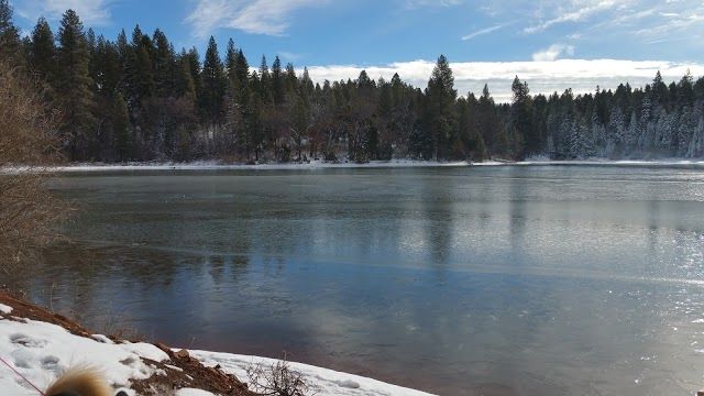 Forebay Lake