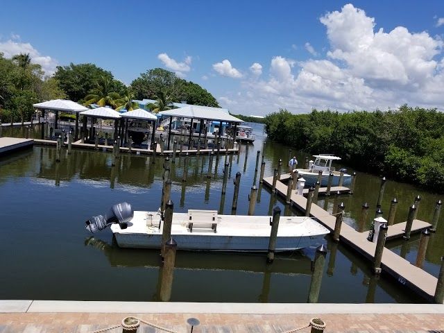 Boats and Fun