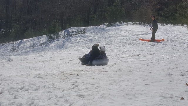 Woods Hollow Nature Preserve