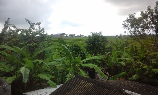 Fantasy Supermarket Pererenan