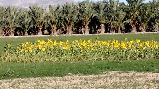 Parque Natural el Hondo