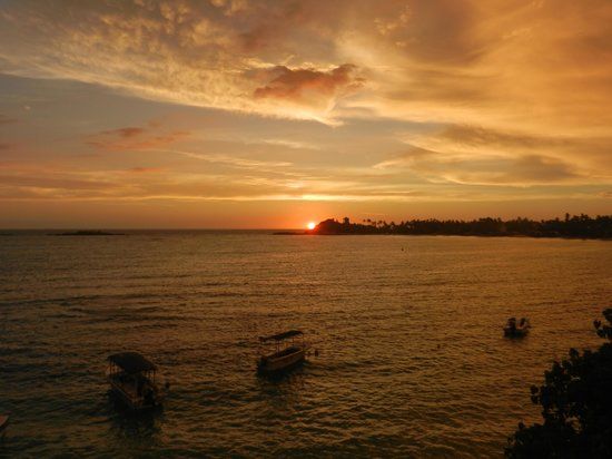 Summer Garden Seafood Restaurant