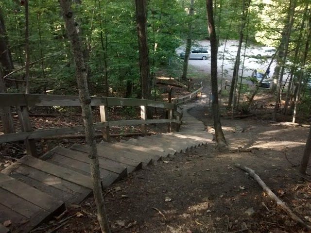 Grand Traverse Commons Natural Area
