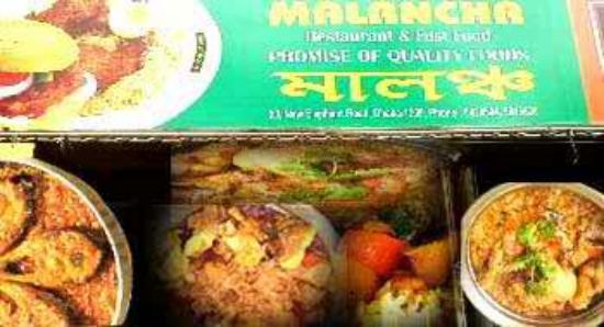 Malancha
