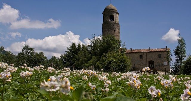 Agriturismo Montagna Verde