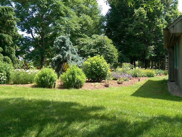Linnaeus Arboretum