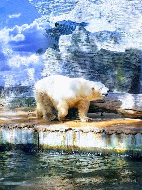 Nature Park Drahan-Troja