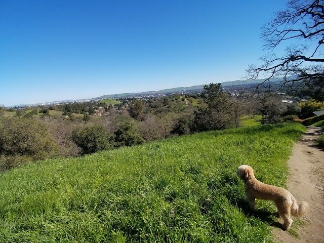 Paso Nogal Park