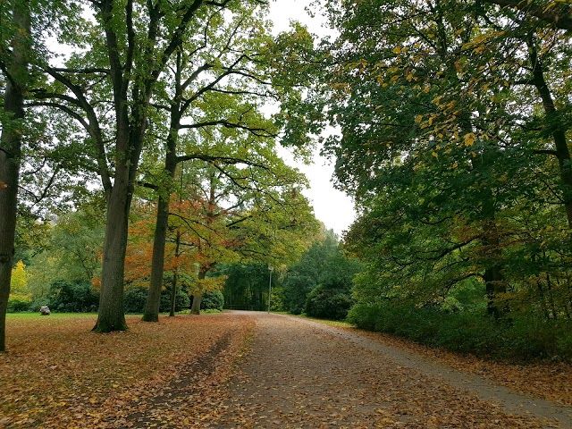 Bürgerpark