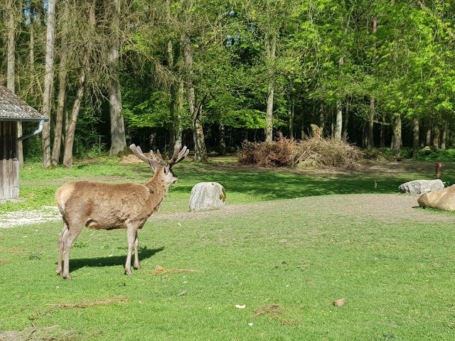 Naturpark Höllohe