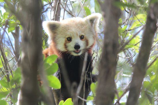 Wellington Hayvanat Bahçesi