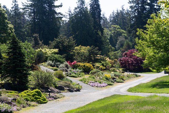 UBC Botanical Garden