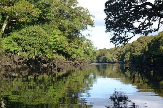 Frenchman's Creek