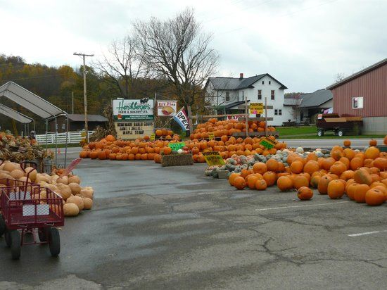 Hershberger's Farm and Bakery