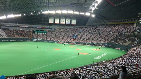 Sapporo Dome