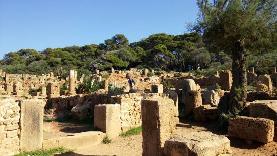 Tipasa Archaeological Park