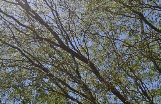 Environmental Education Center