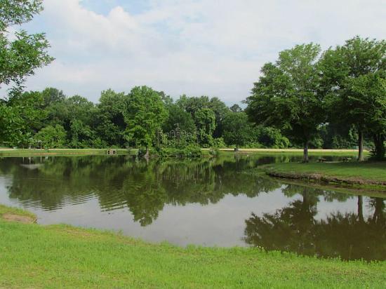 Pedigo Park