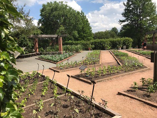 Triton College Botanical Garden