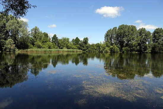 Langford Lakes Nature Reserve