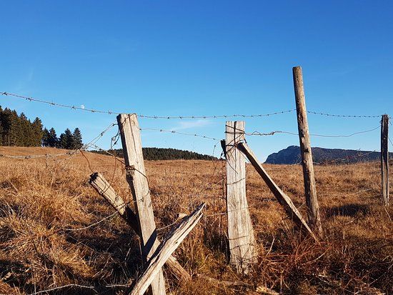 Area battaglia Col Basson