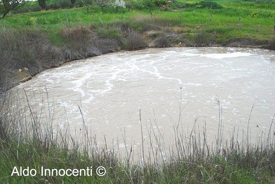 Acqua Puzzola